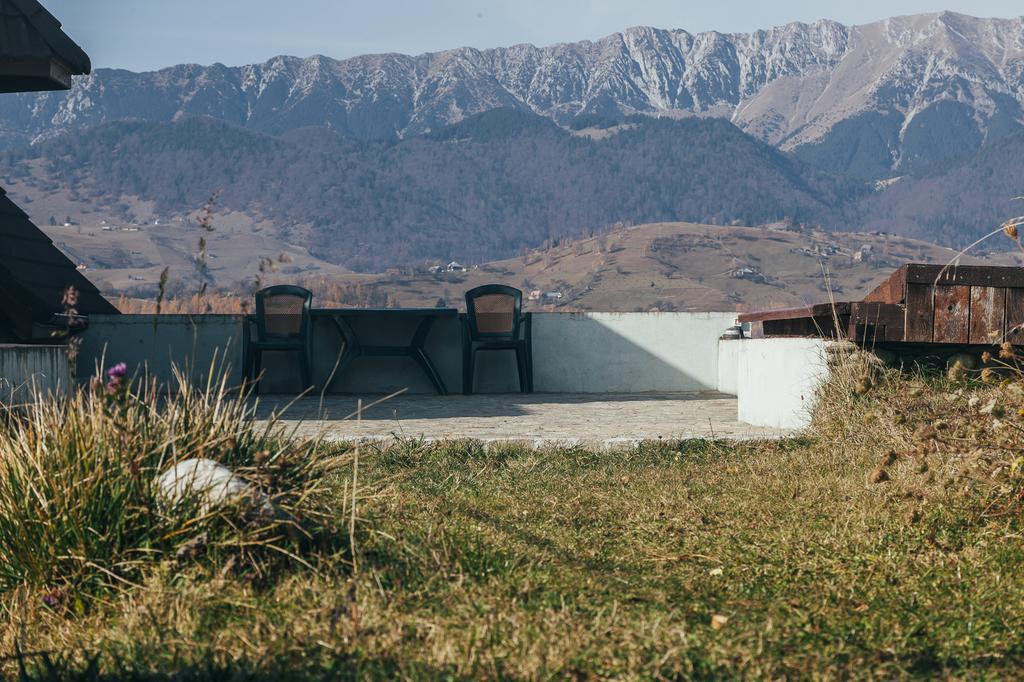 Drumul Carului Villa 모이에치우 데 조스 외부 사진