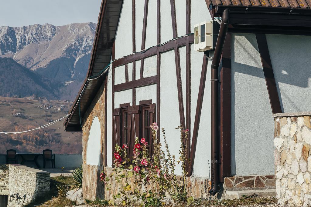 Drumul Carului Villa 모이에치우 데 조스 외부 사진