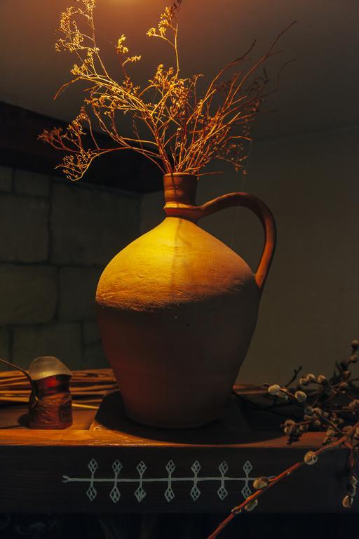 Drumul Carului Villa 모이에치우 데 조스 객실 사진