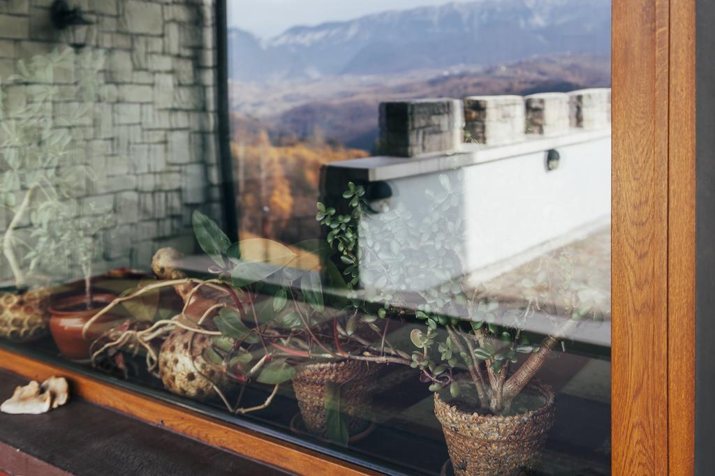 Drumul Carului Villa 모이에치우 데 조스 외부 사진