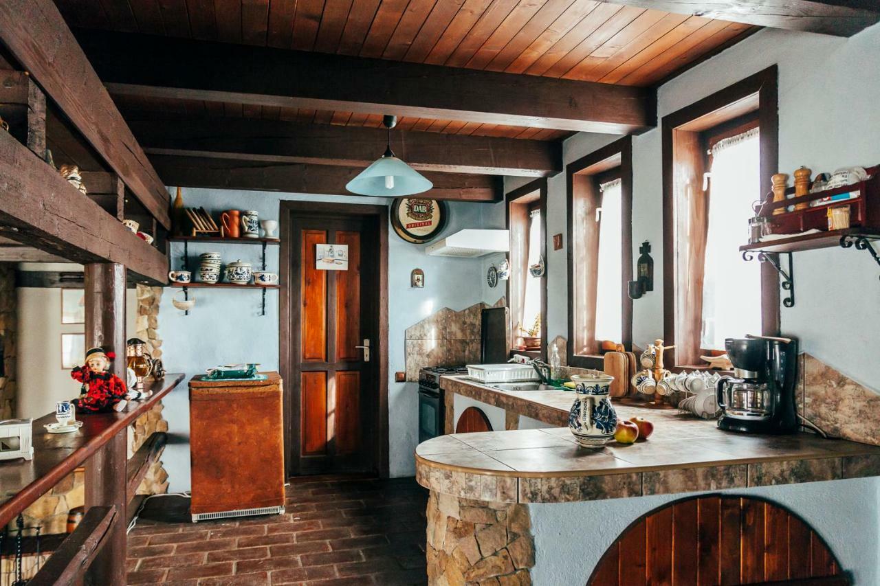 Drumul Carului Villa 모이에치우 데 조스 외부 사진